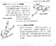 Thumbs/tn_odh77.gif